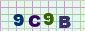 This is a captcha-picture. It is used to prevent mass-access by robots. (see: www.captcha.net)