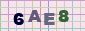 This is a captcha-picture. It is used to prevent mass-access by robots. (see: www.captcha.net)